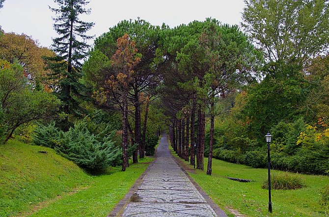 Atatürk Arboretumu 03