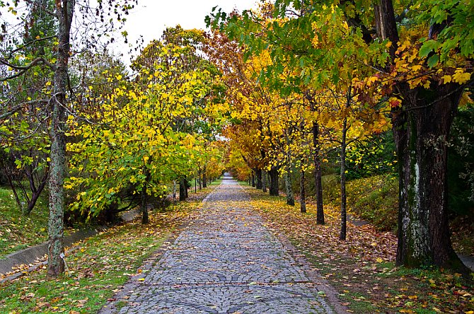 Atatürk Arboretumu 09