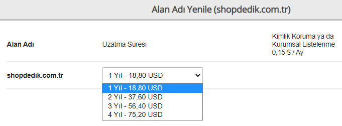 alan adı yenileme