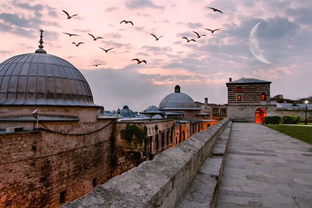 Süleymaniye Camisinin Arka Bahçesinden Külliyenin Kubbeleri ve Martılar