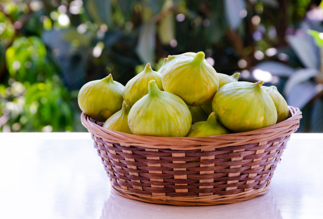 Yeni Toplanmış Sepette İncirler Yaz Meyveleri