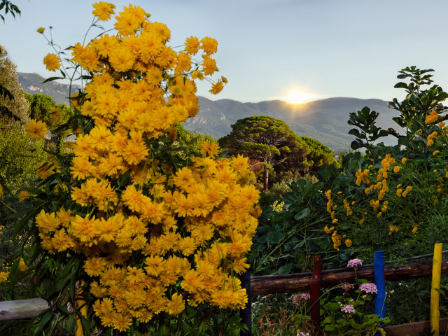 Caferli Köyü Doğa Manzarası Kuşadası Aydın