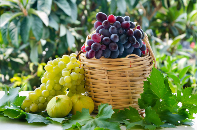 Sepette Üzüm Salkımları ve İncirler