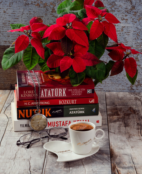 10 Kasım Atatürk'ü Anma Temalı Fotoğraf