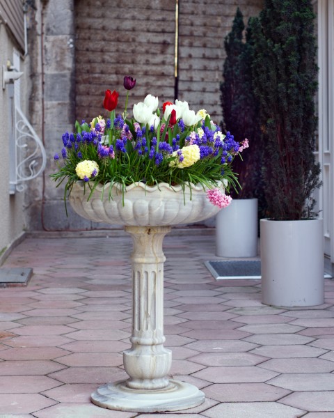 İstanbul'da Lale Zamanı 2