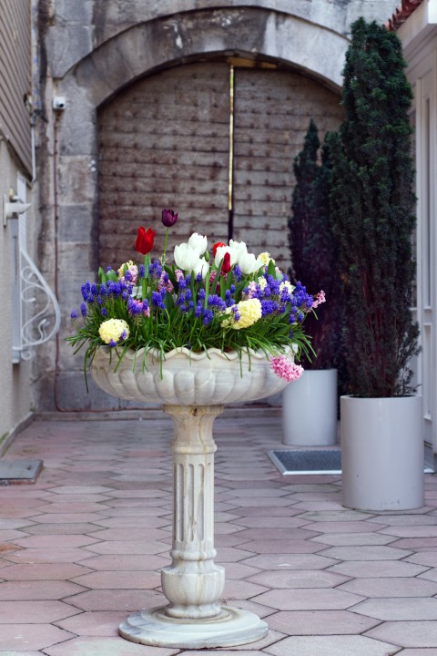 İstanbul'da Lale Zamanı 1