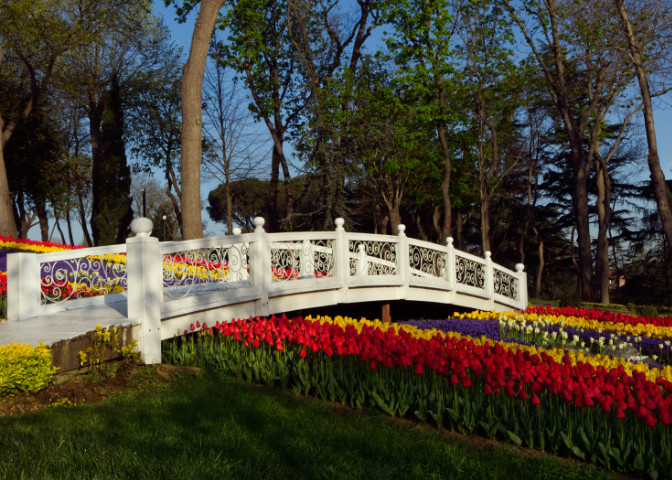 Emirgan Korusunda Laleler, Köprü ve Beyaz Köşk 2