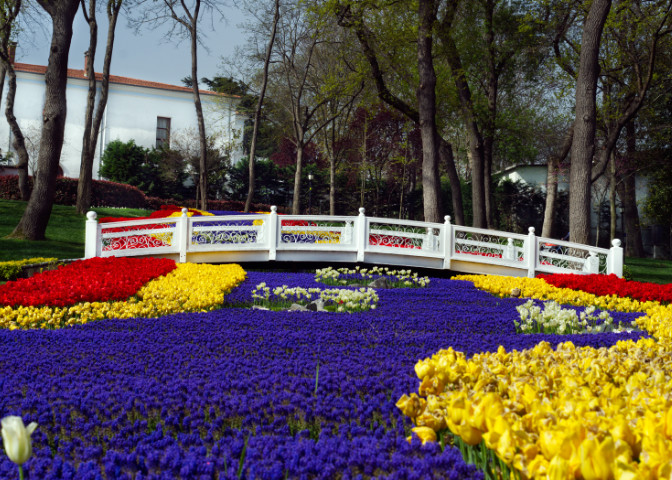 Emirgan Korusunda Laleler, Köprü ve Beyaz Köşk 3