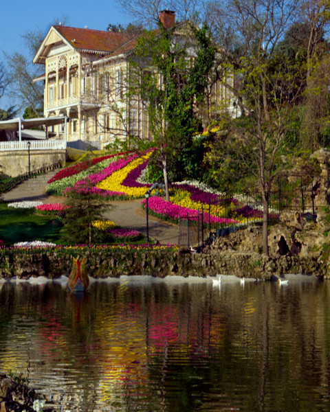 Emirgan Korusu Sarı Köşk 4