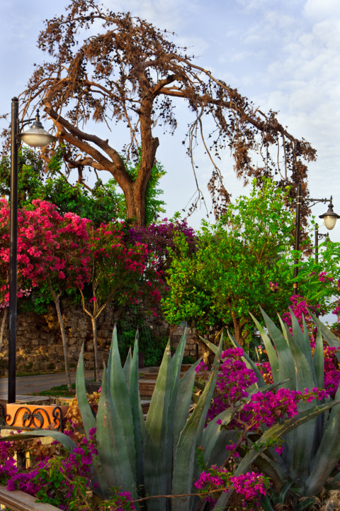 Antalya Kaleiçi'nde Çok Güzel Bir Park