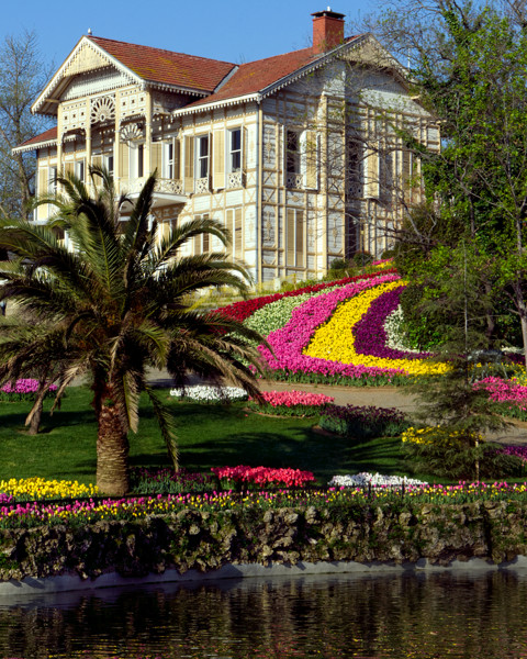 Emirgan Korusu Sarı Köşk 3